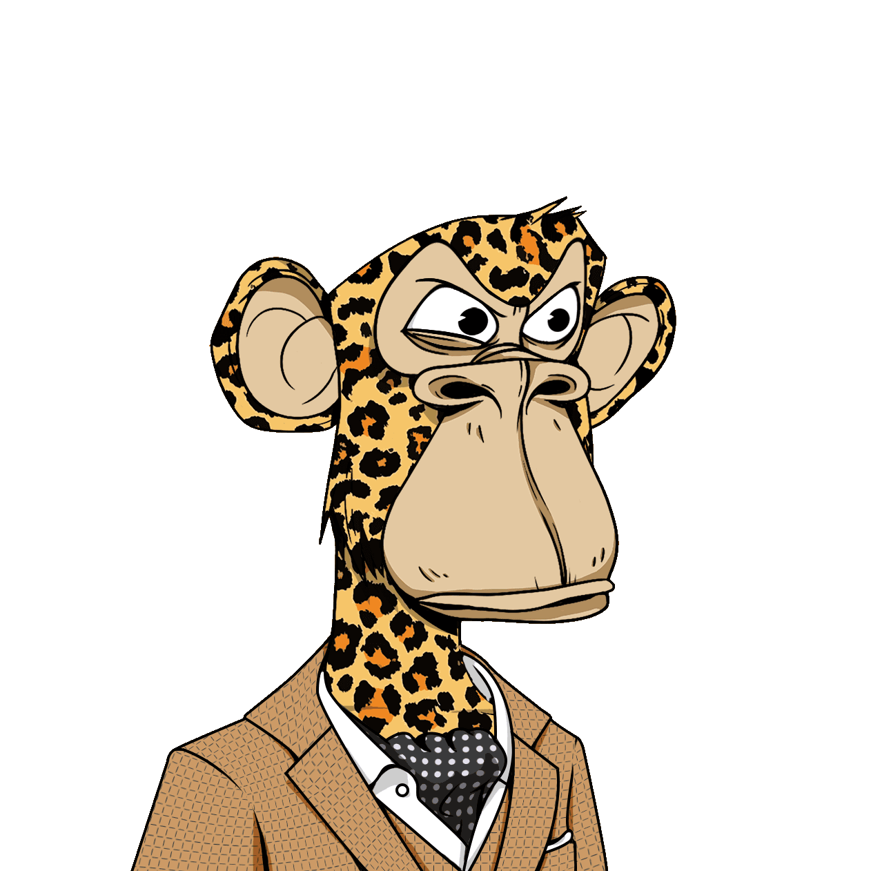 Book A Call Decrypted Tax